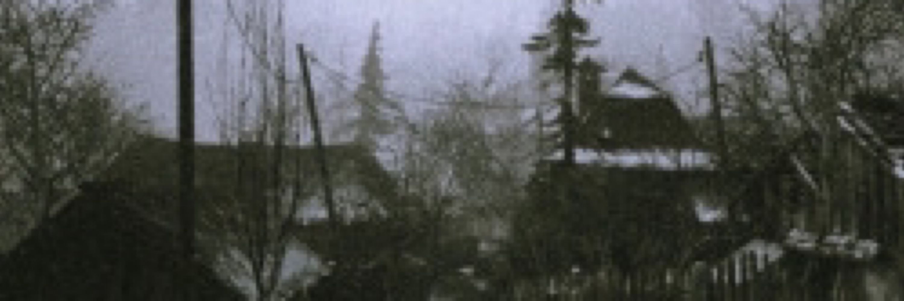 tundra