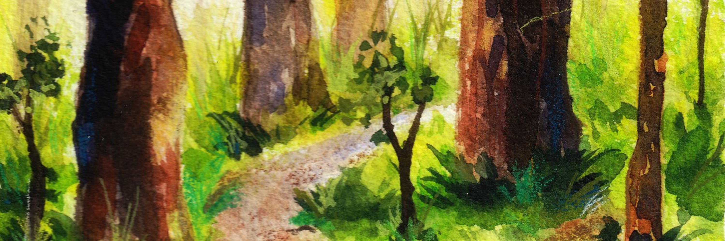 🌿 Meadow 🌿