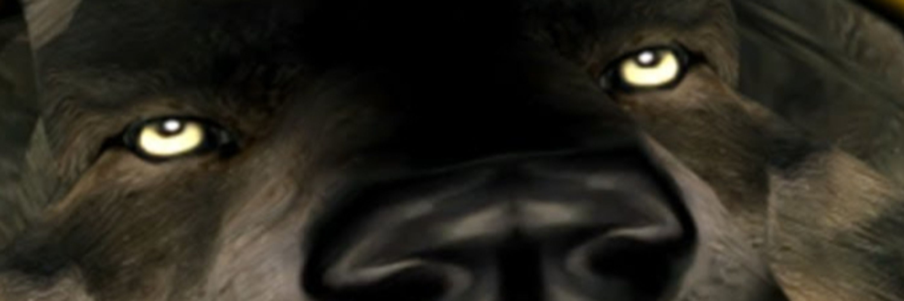 WolfWolfWolfWolfWolf