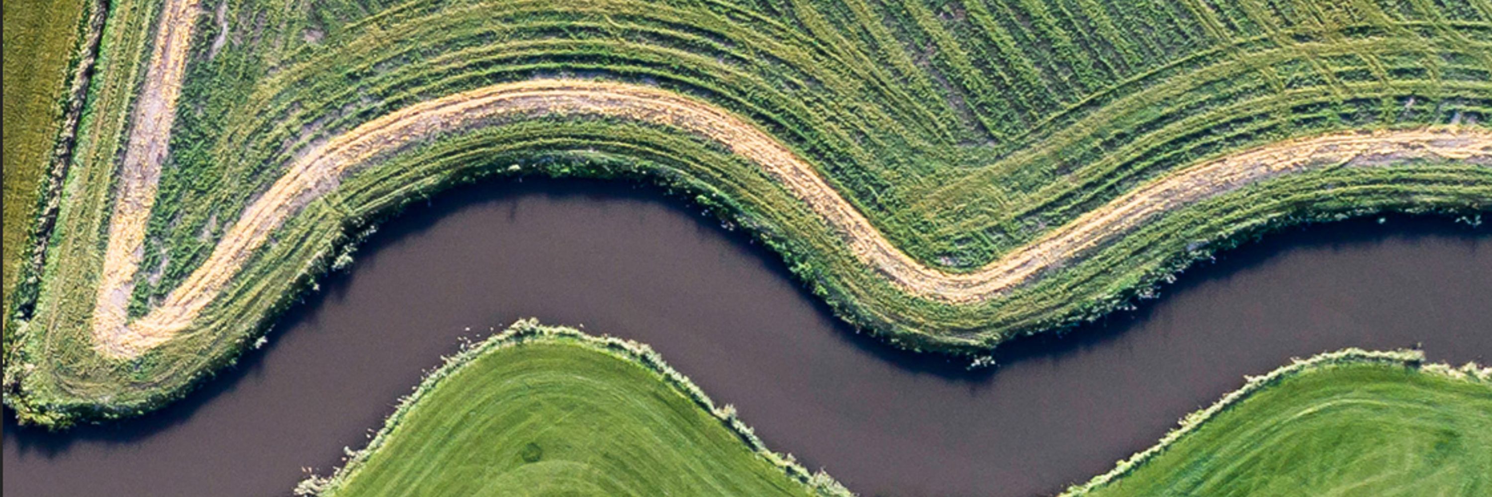 Science and Technologies for Phosphorus Sustainability (STEPS)
