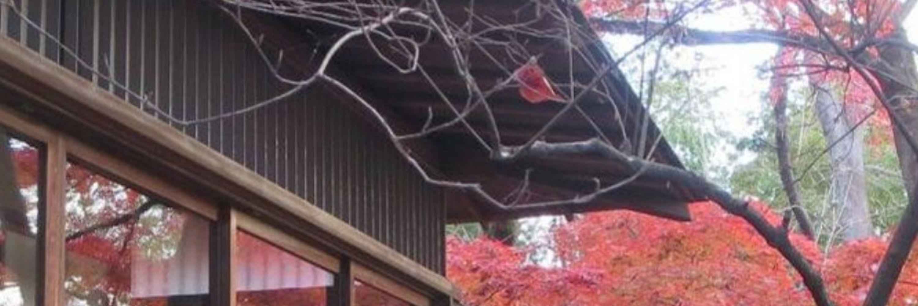 mushagumi