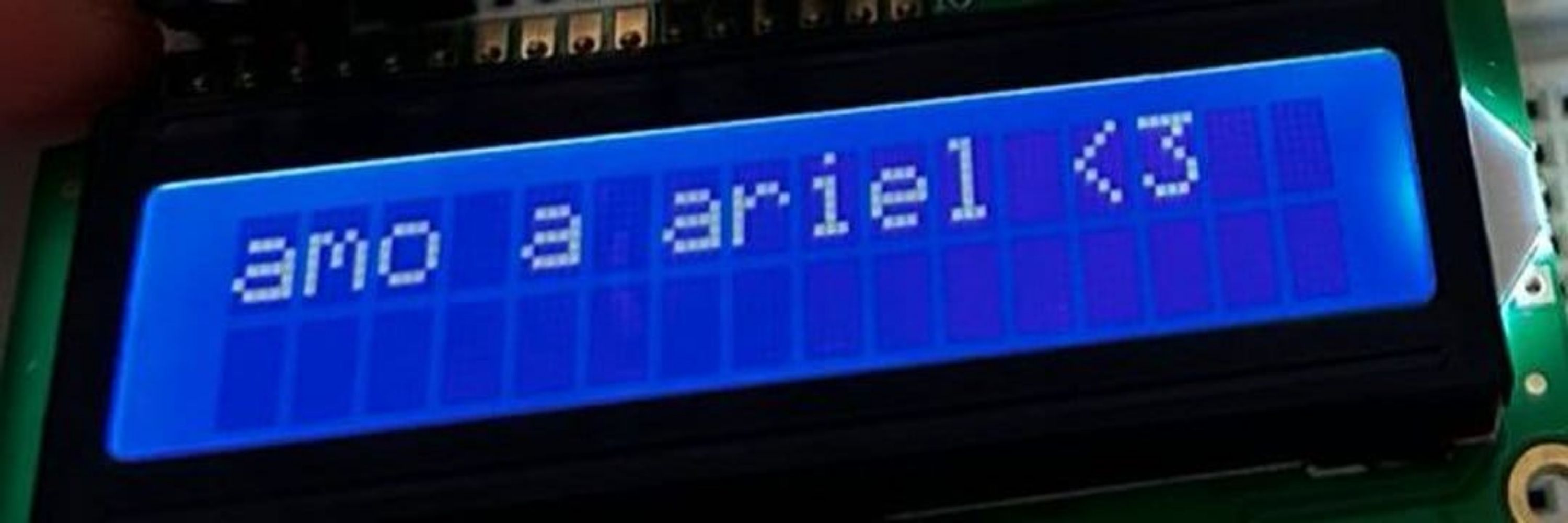 Ariel