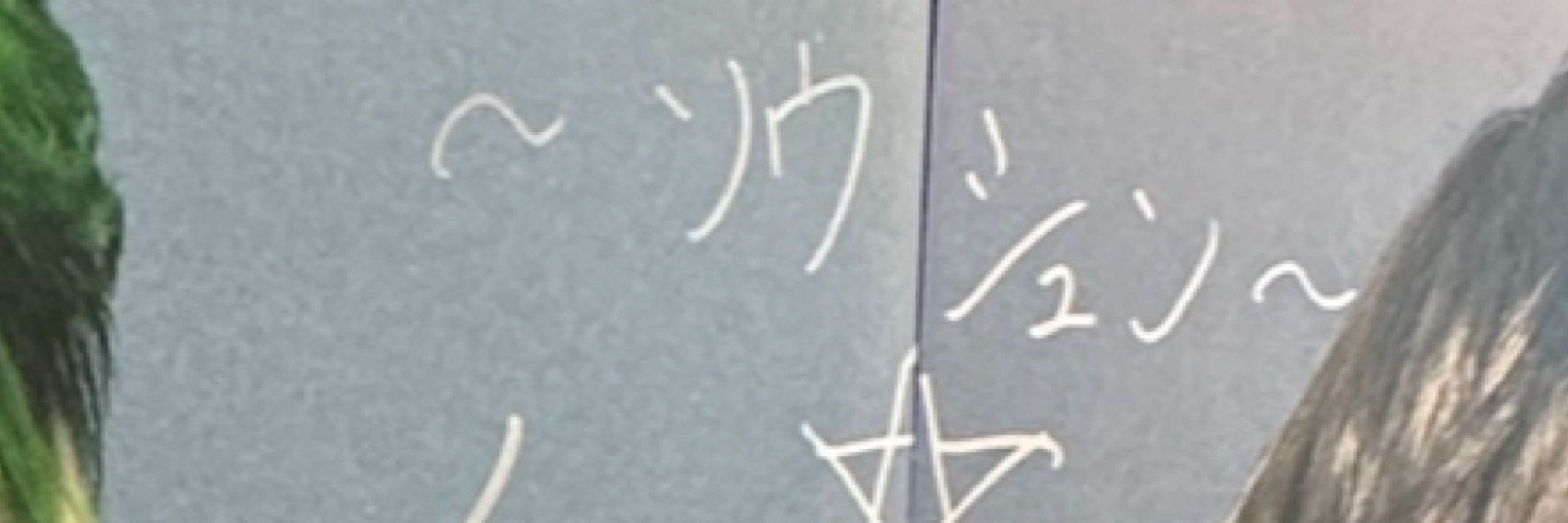 ひらり🍭