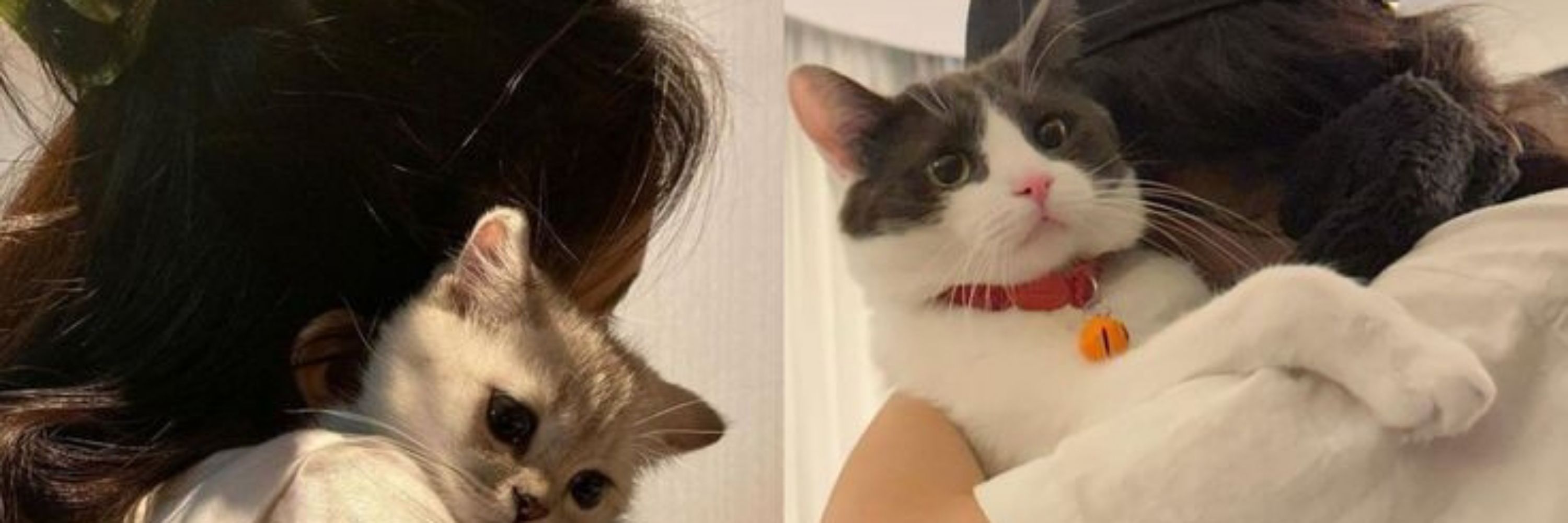 Lis🐈‍⬛ 