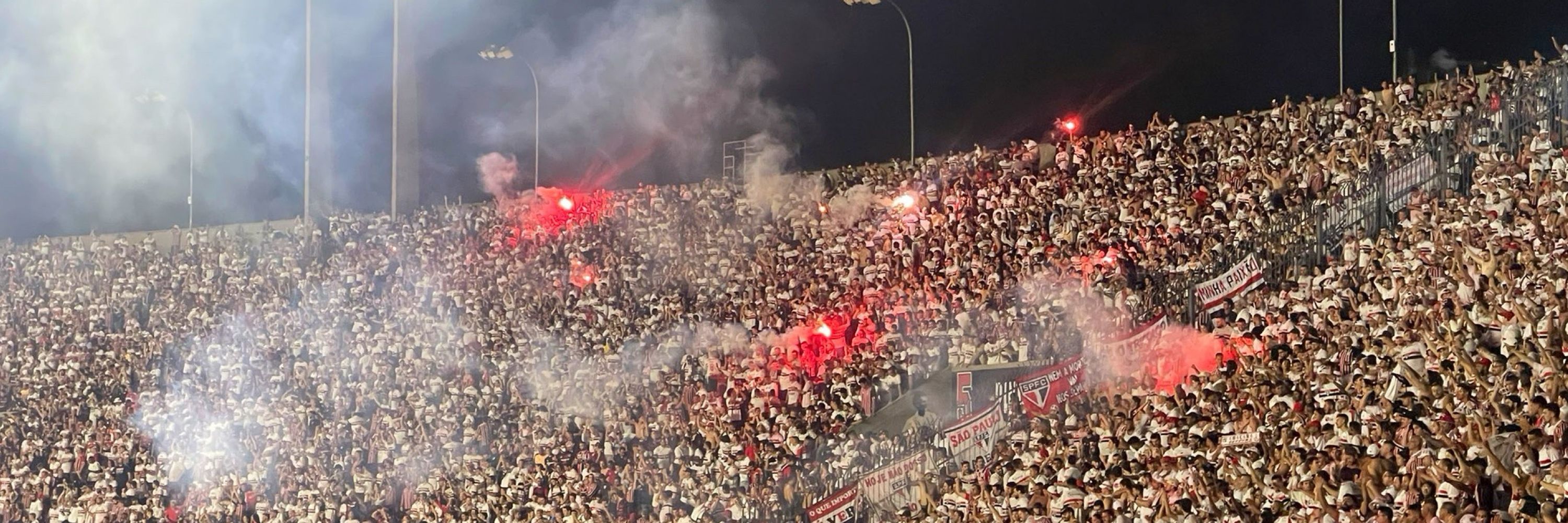 Madruga tricolor 