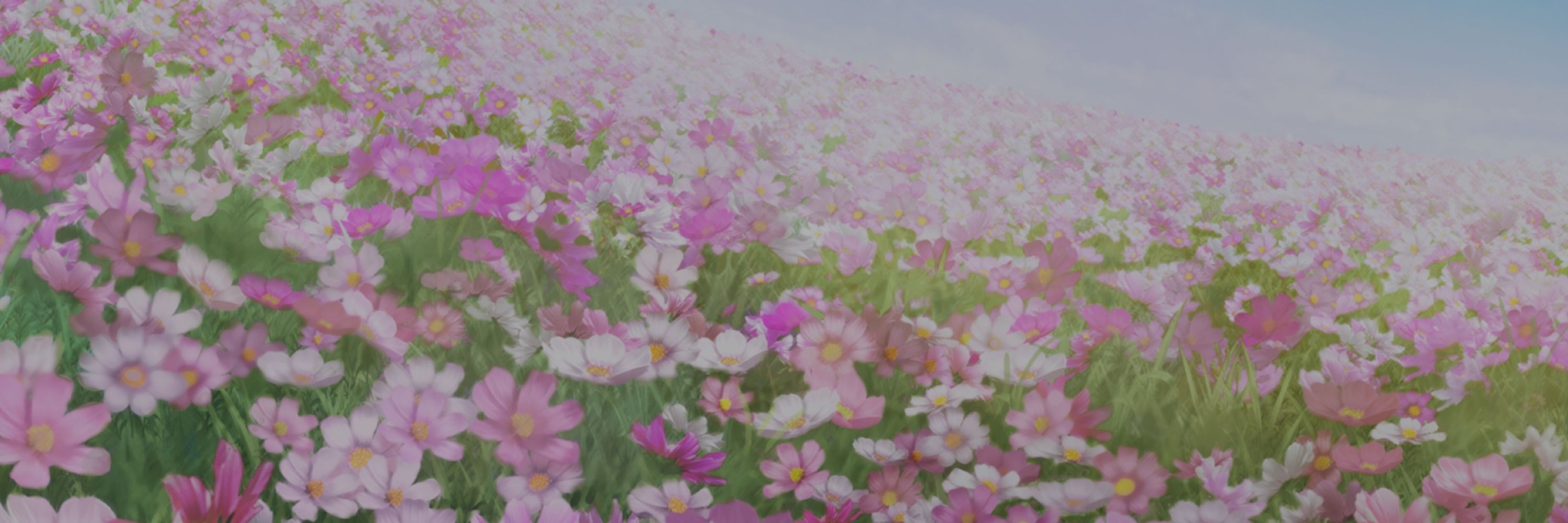 ゆきな