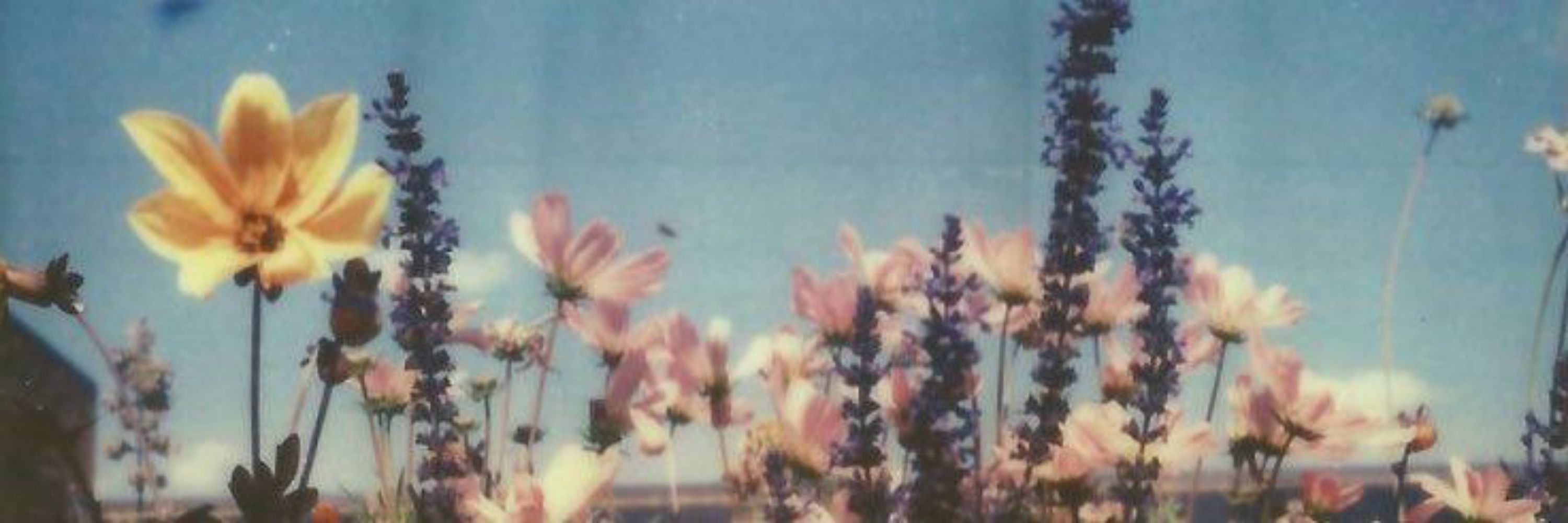 ᏉᏗᎷᎮ⁵⁵🥀