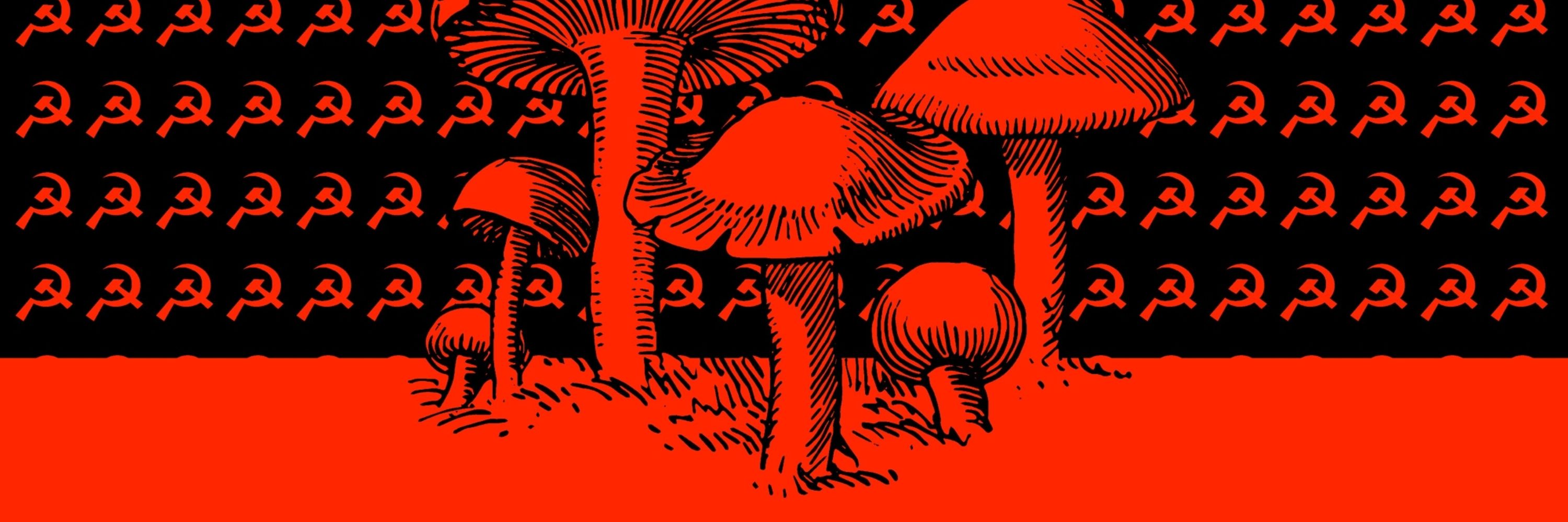 Acid Leftist
