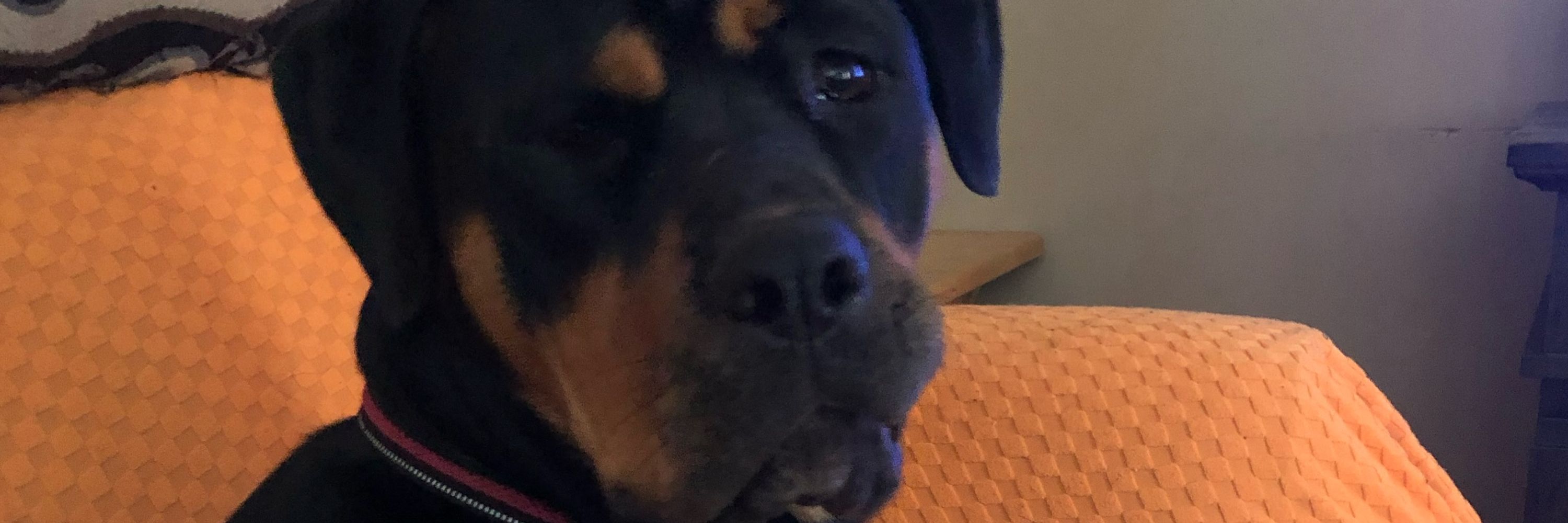 Erma
