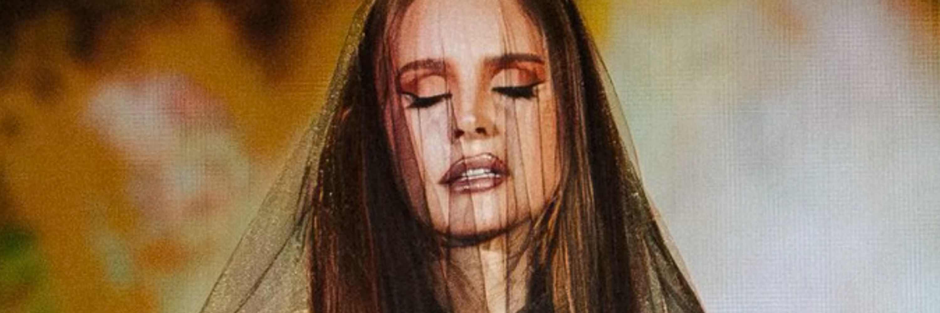 vanish into you