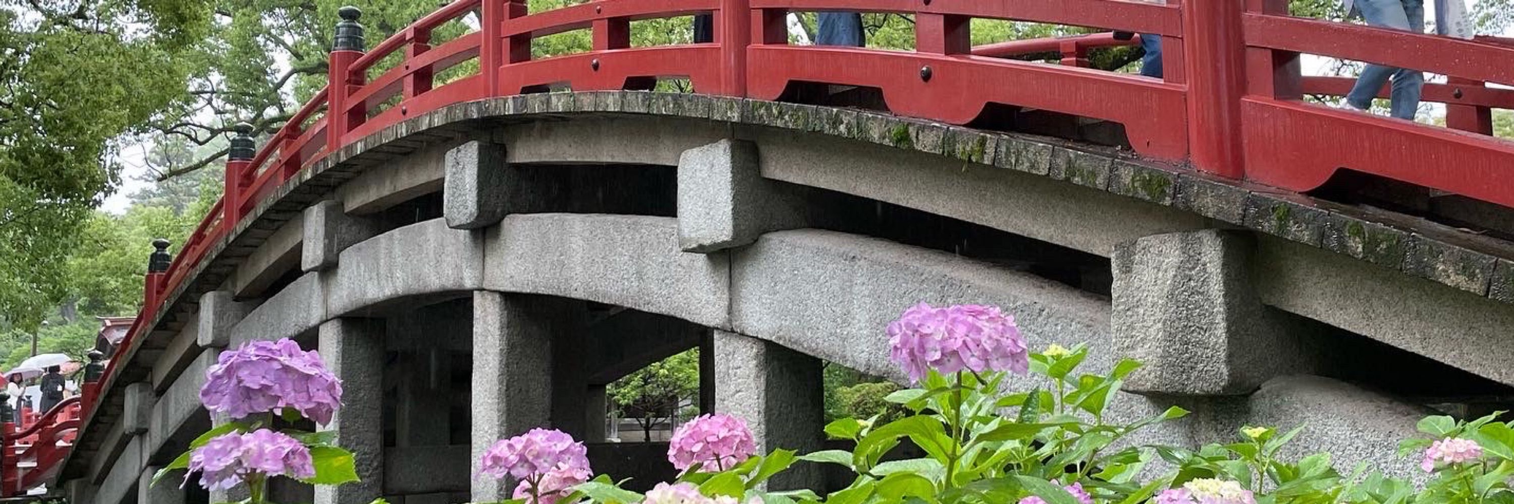 だやん