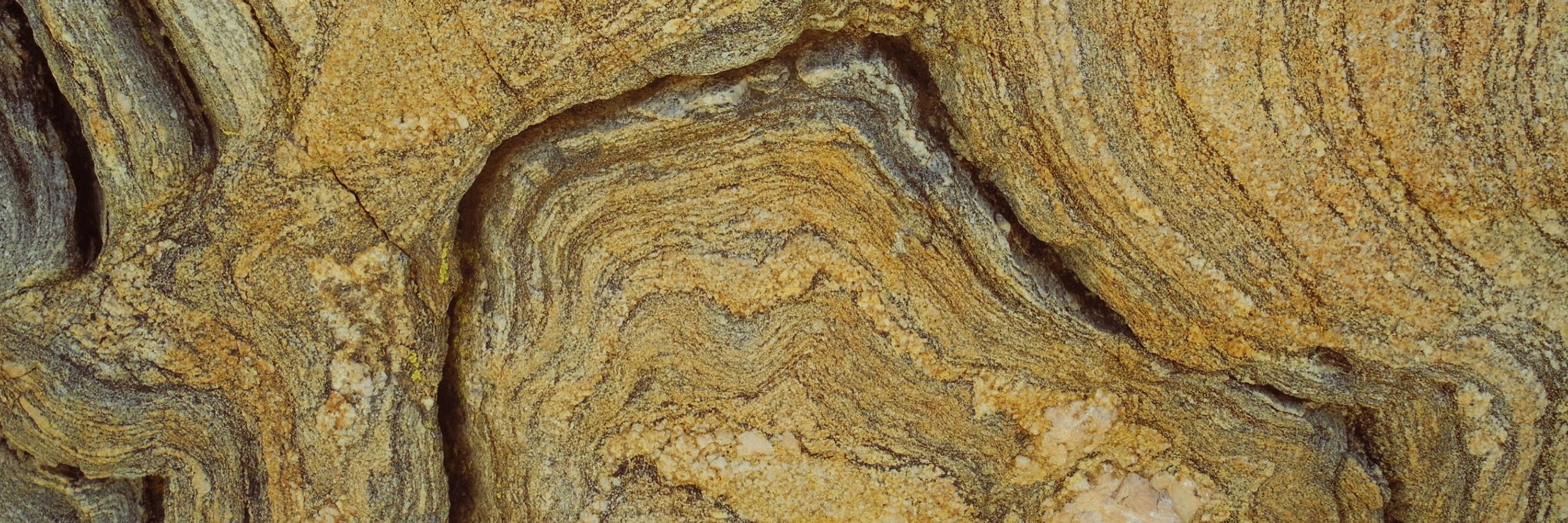 N.