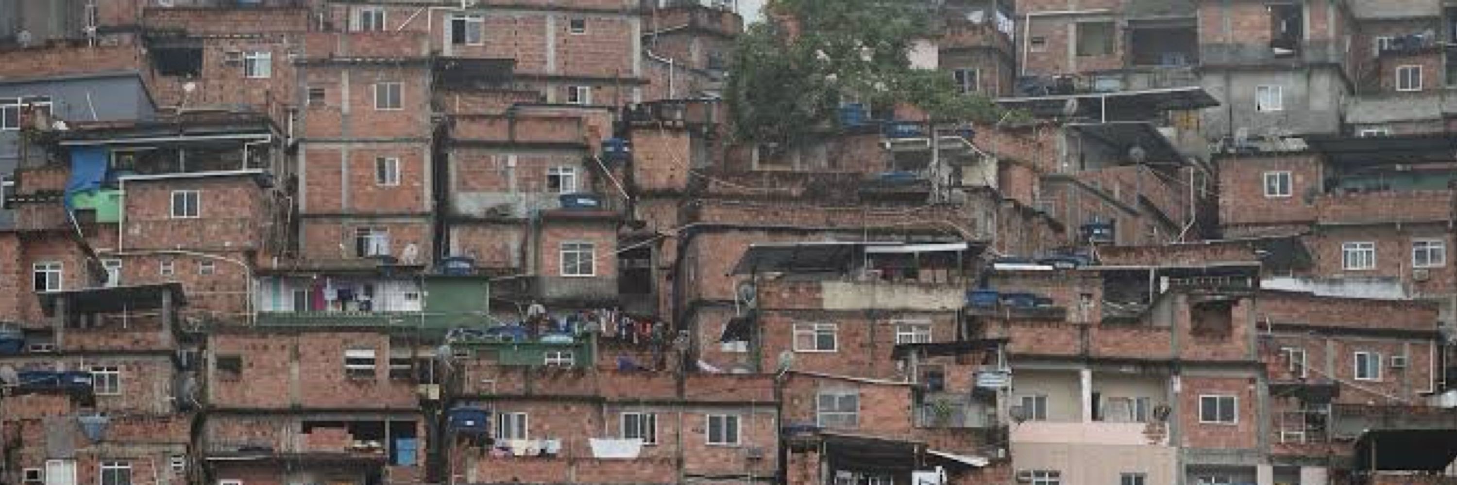 ZONA DO TRÁFICO❗️