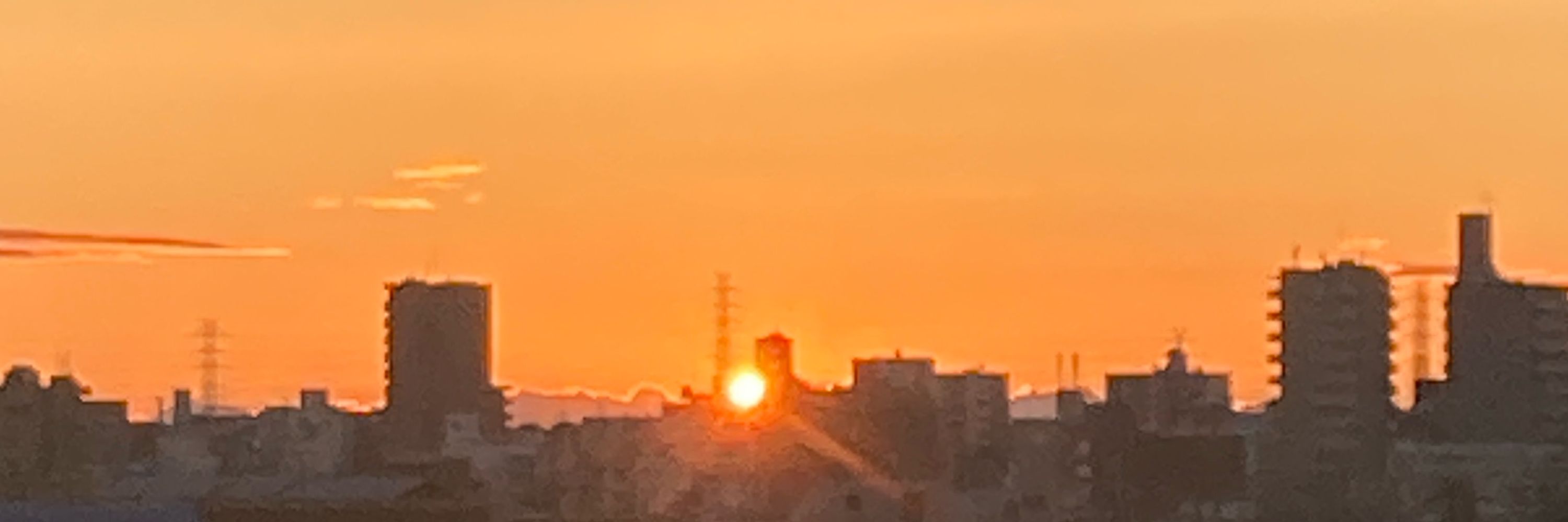 パイナップル