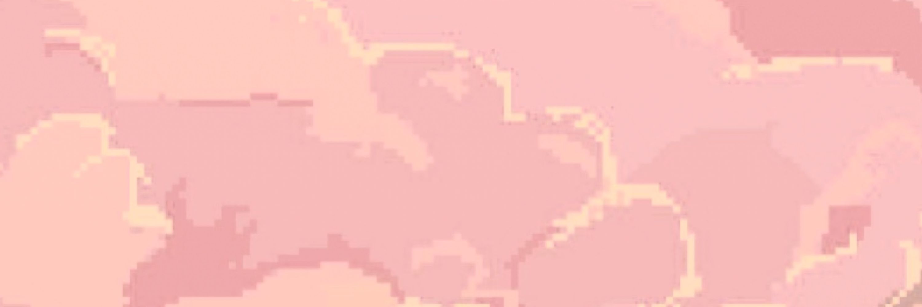 Vi