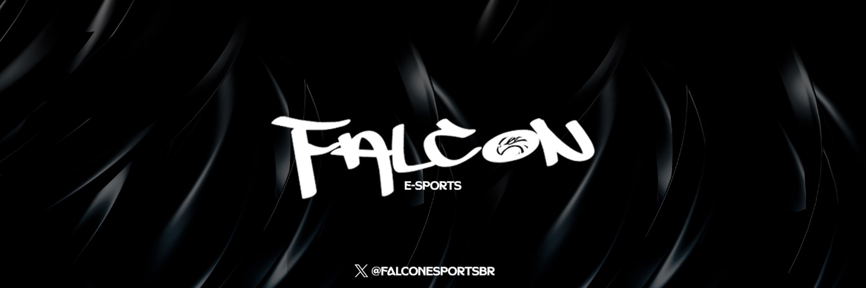 Team FALCON