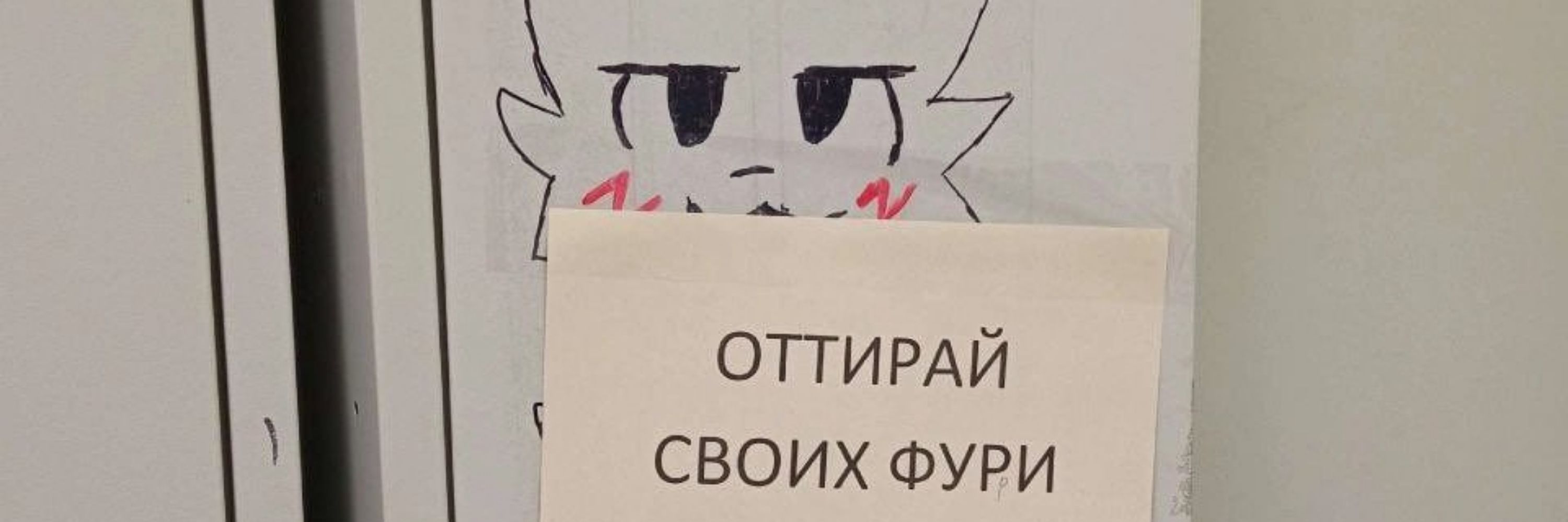 く⁠コ⁠:⁠彡