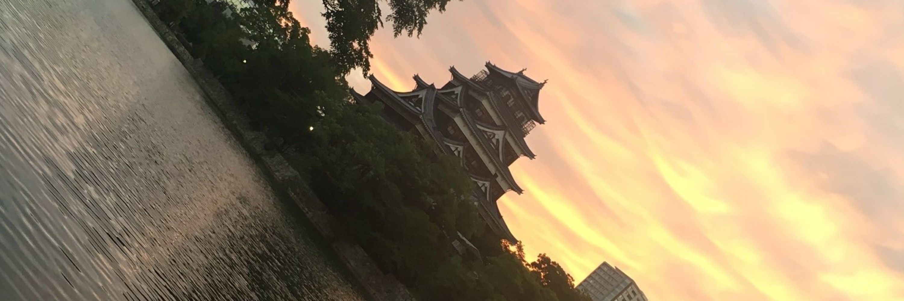 枯葉