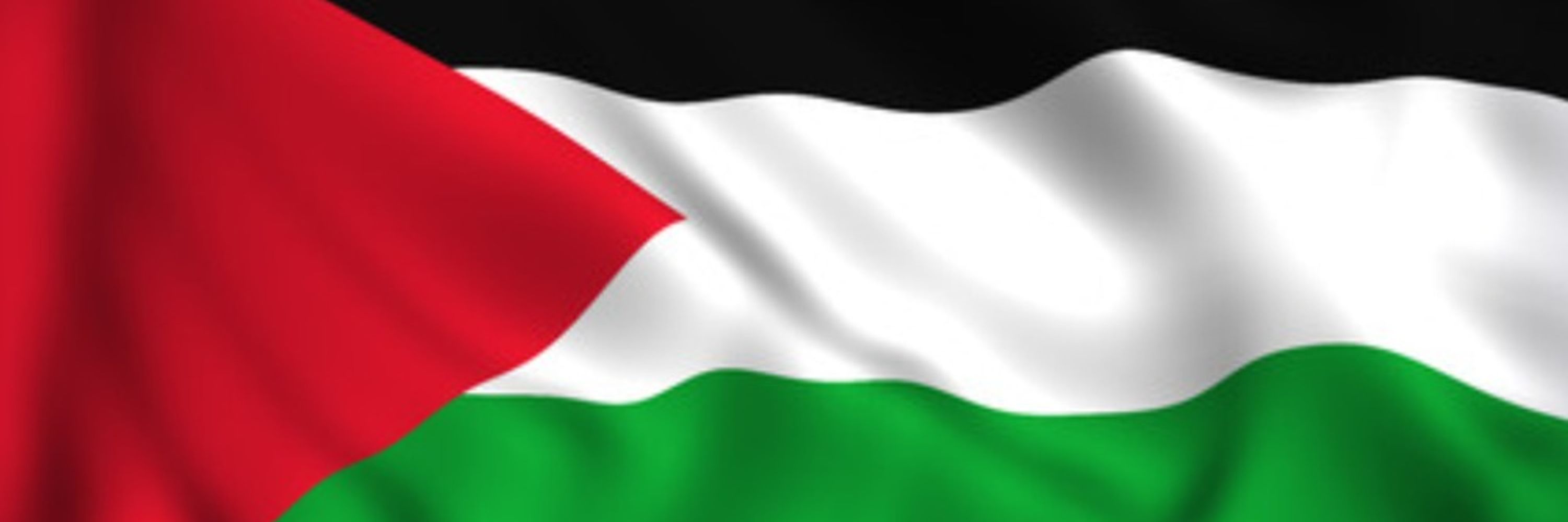 Don't stop talking about Palestine. End the occupation. ☭🔻🇵🇸
