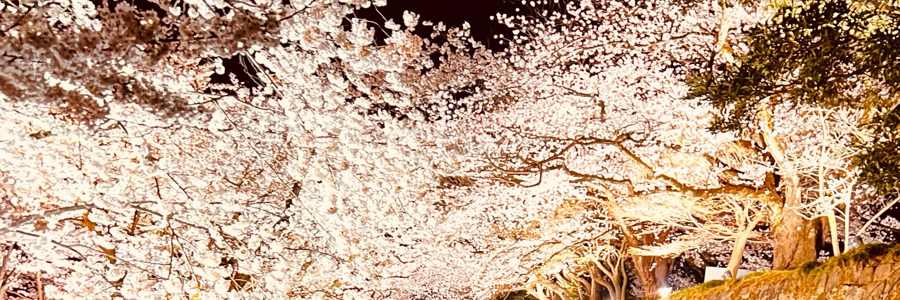 かっち