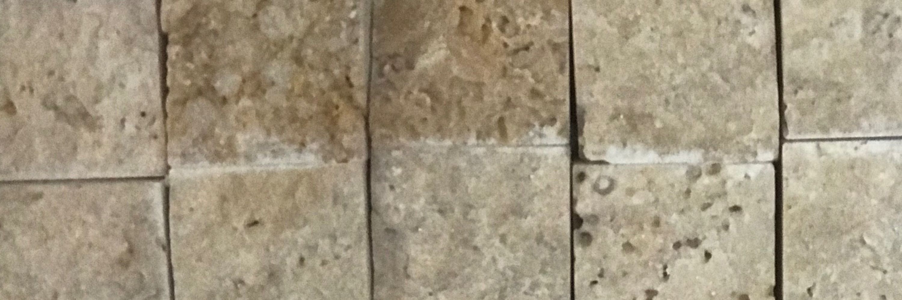 ShekerAbiii