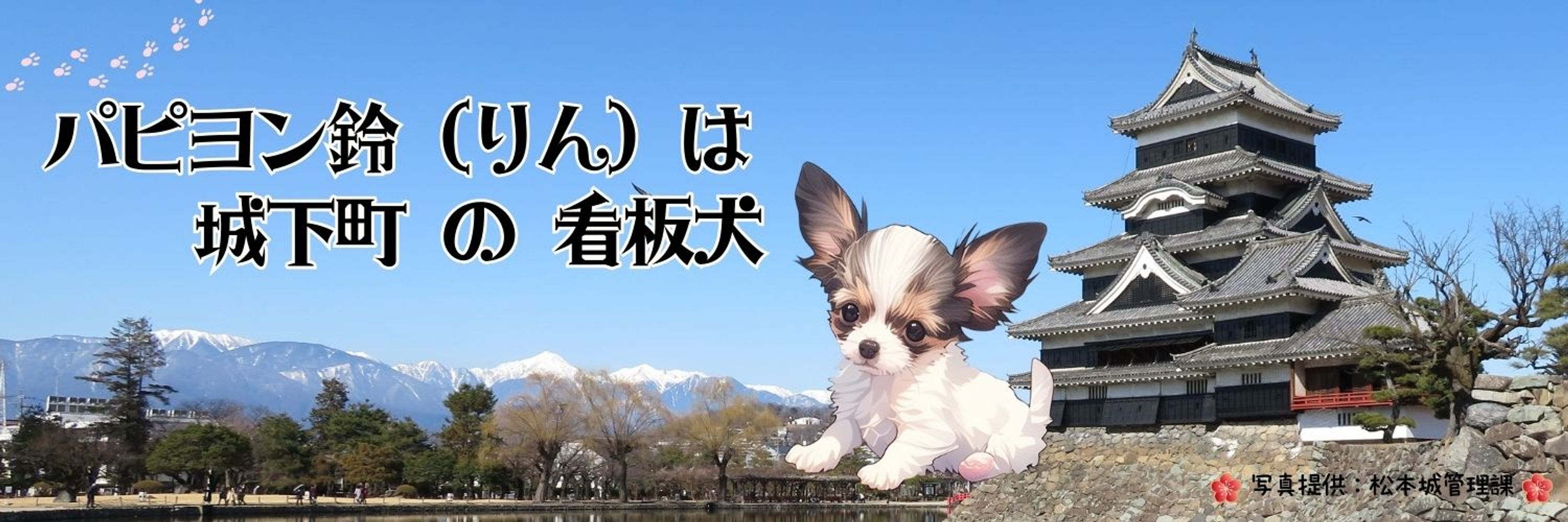 パピヨン鈴（りん）