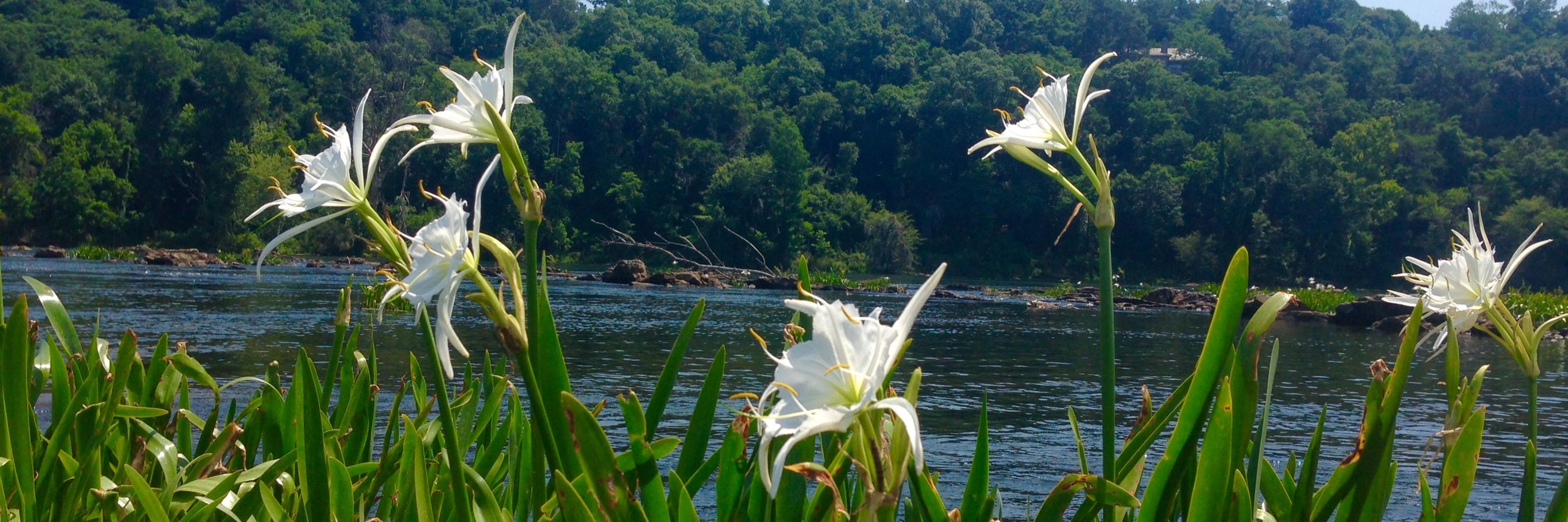 Savannah Riverkeeper