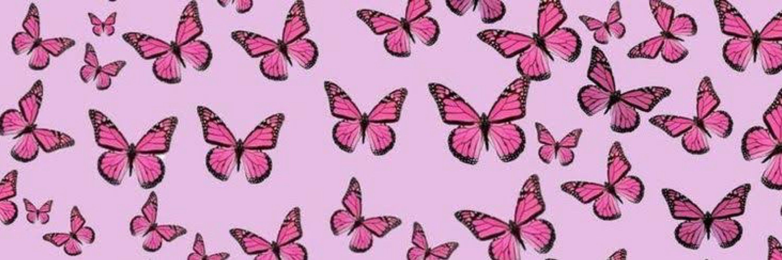 Gabii 🦋