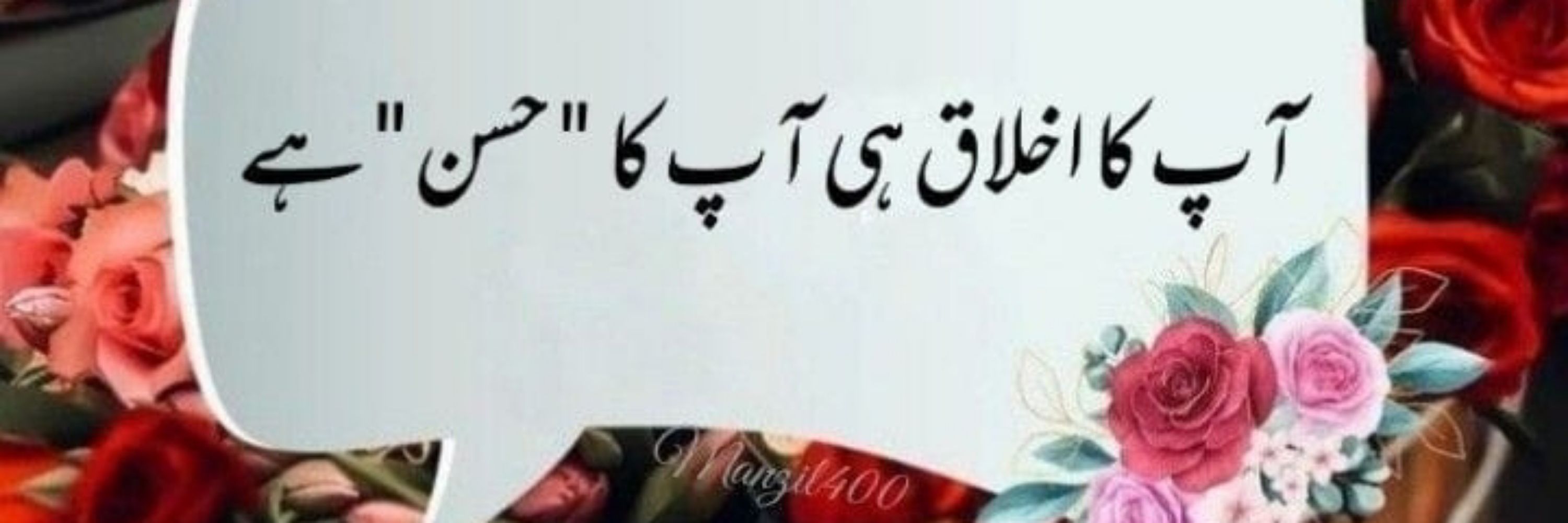 farwa khan