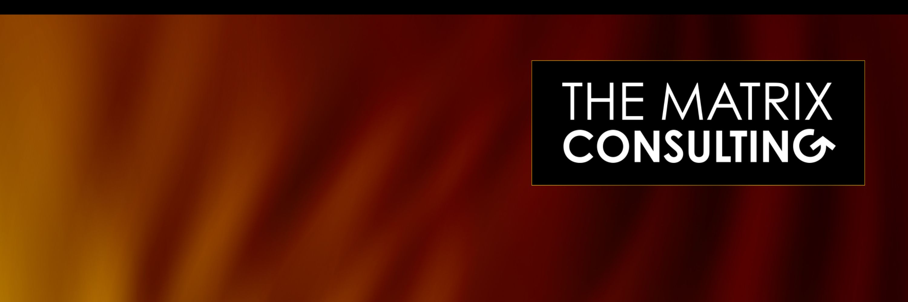 The Matrix Consulting, LLC