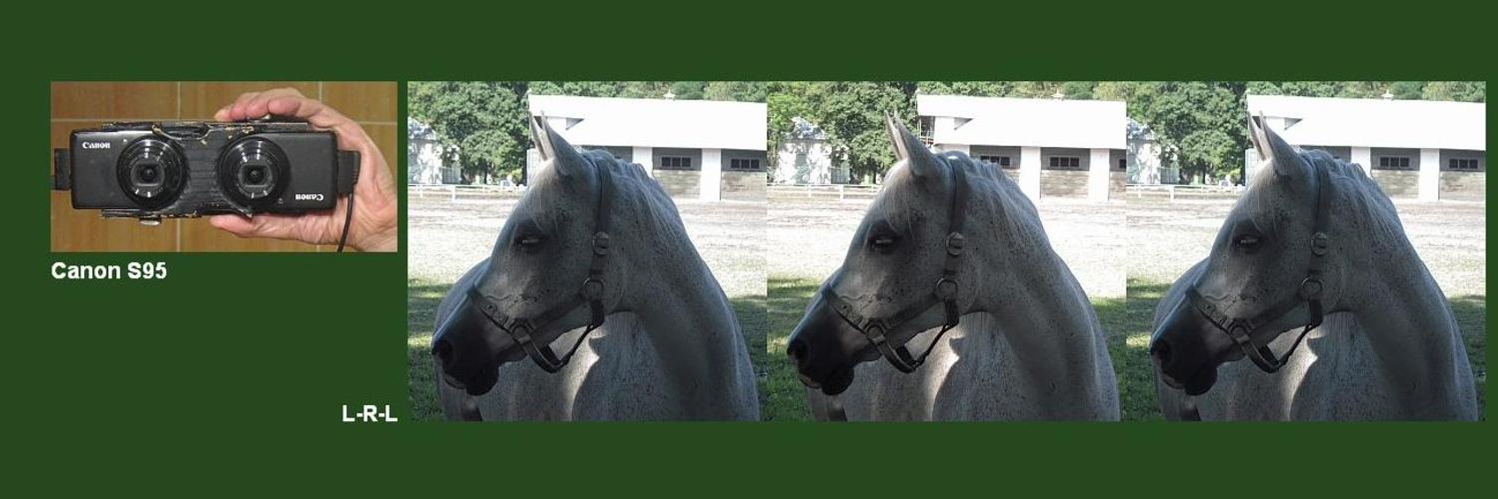 Stereo-fotograf
