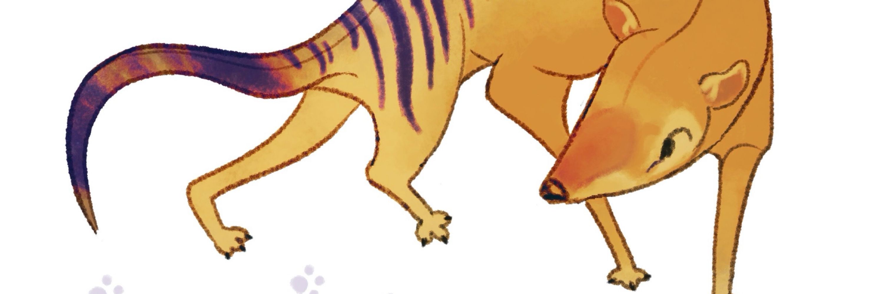 bearye