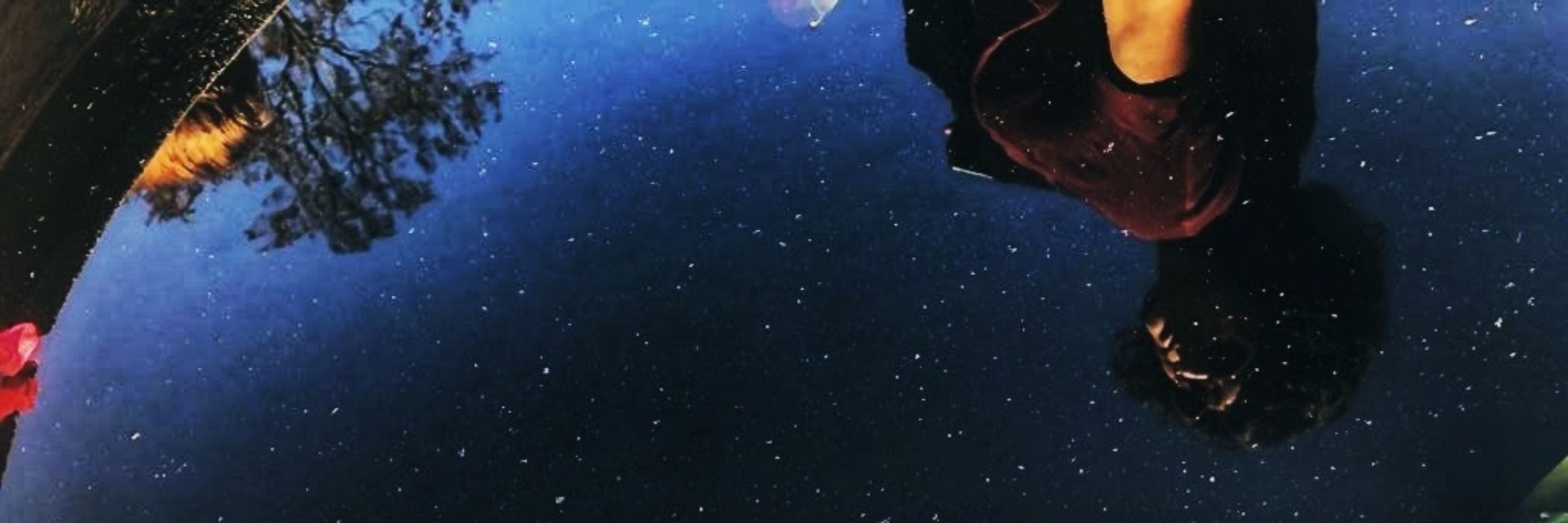 ✨tanvi 🥰 she/her