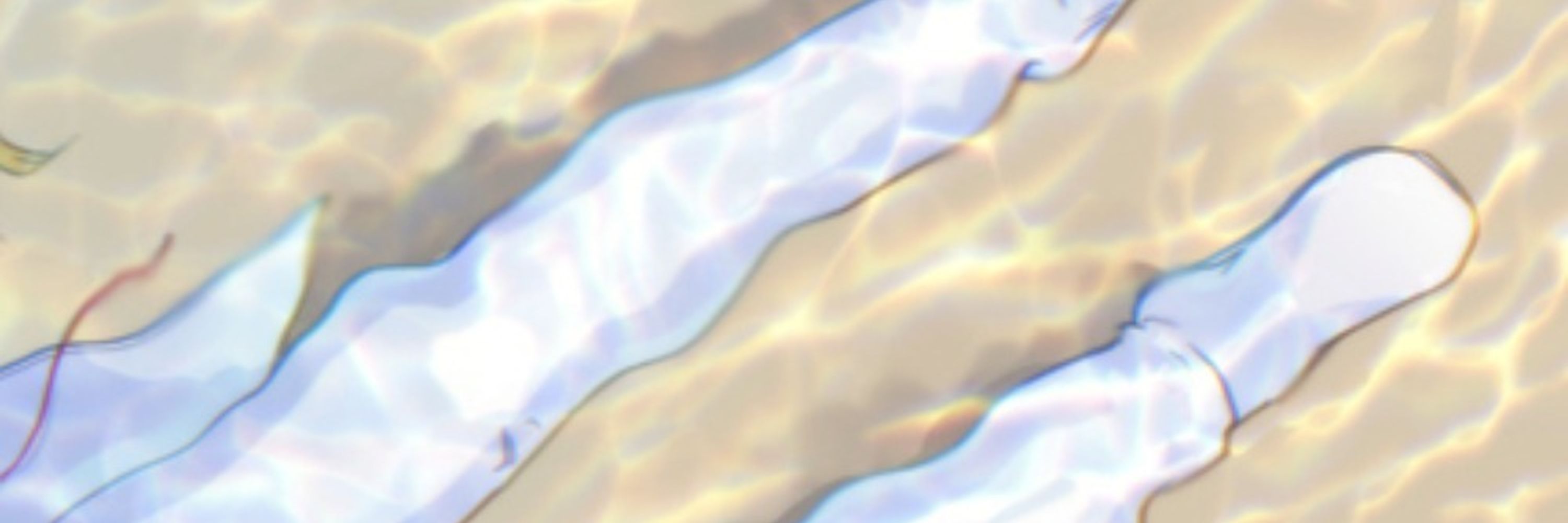 ナナヲ