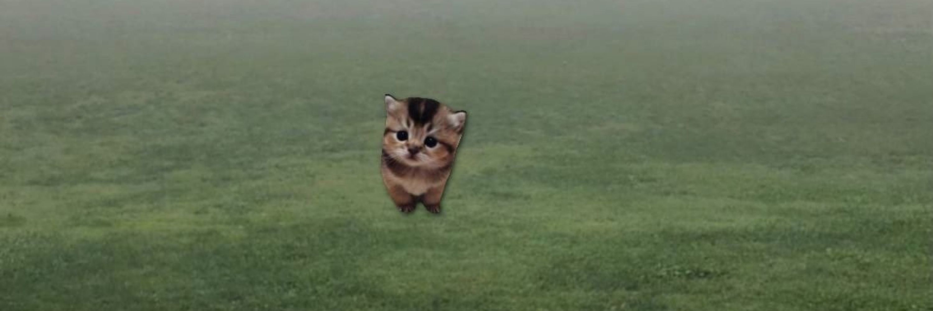  Рин твою на лево
