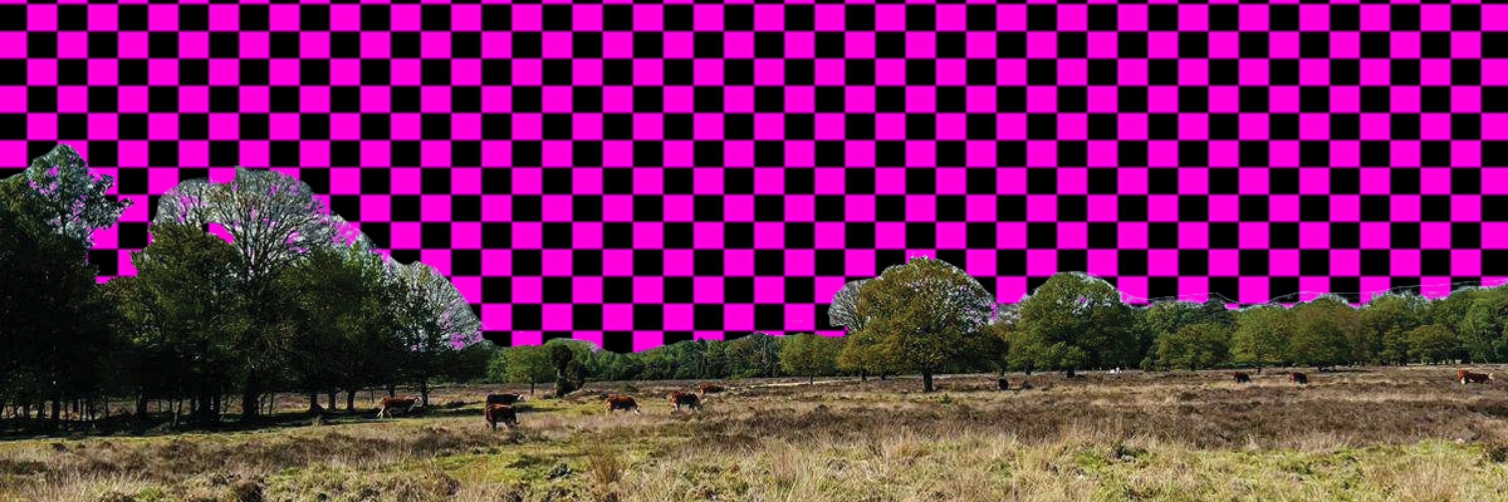 The 4th Wave of Ska is upon us