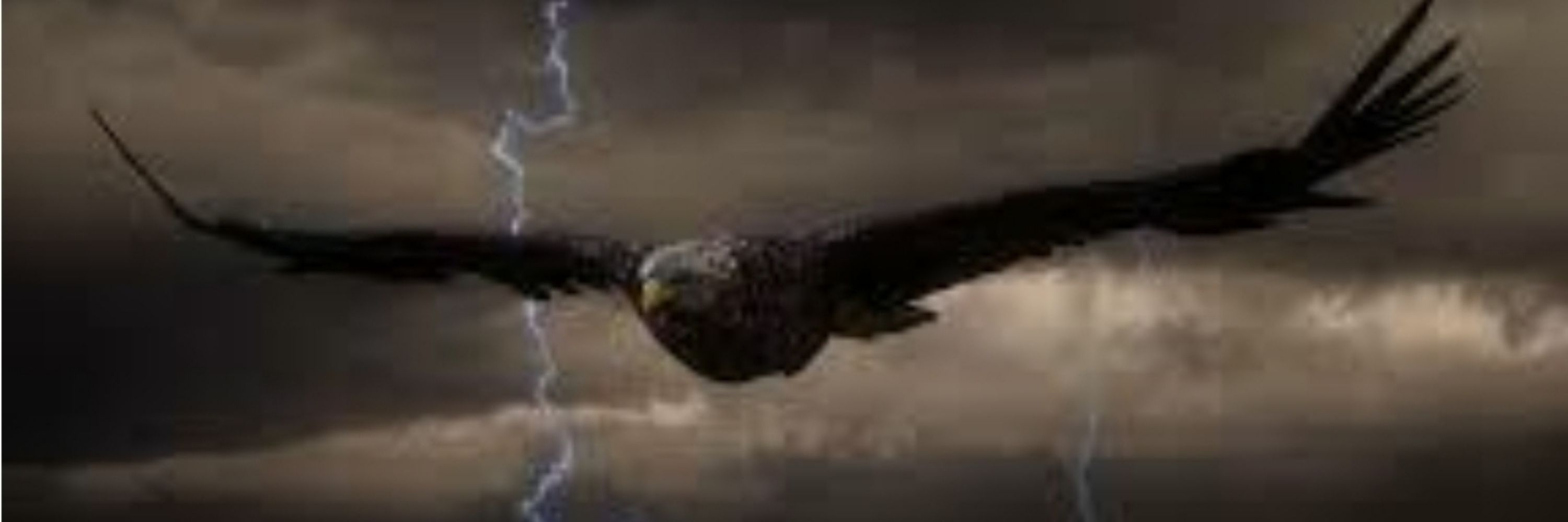 Publius777
