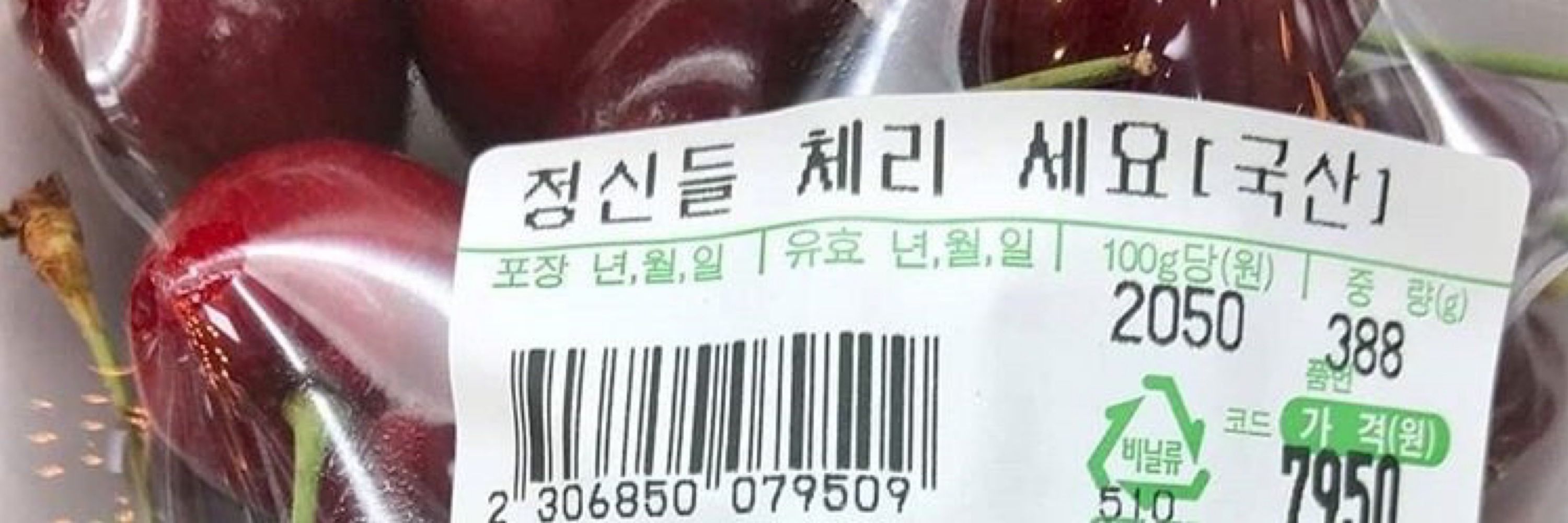 크런키촤컬맅(언니성애자)🏳️‍🌈