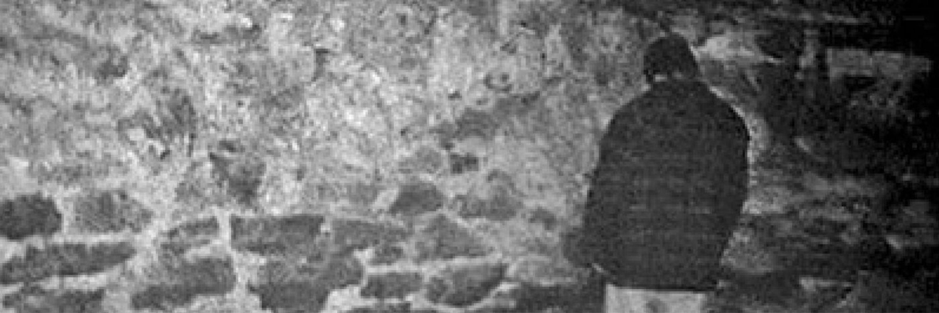 Khrystian