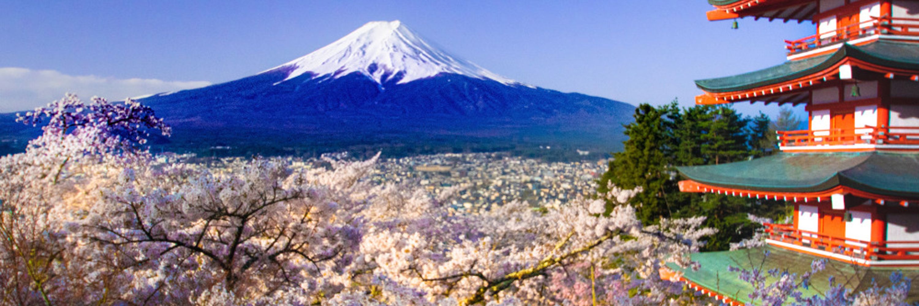 燧