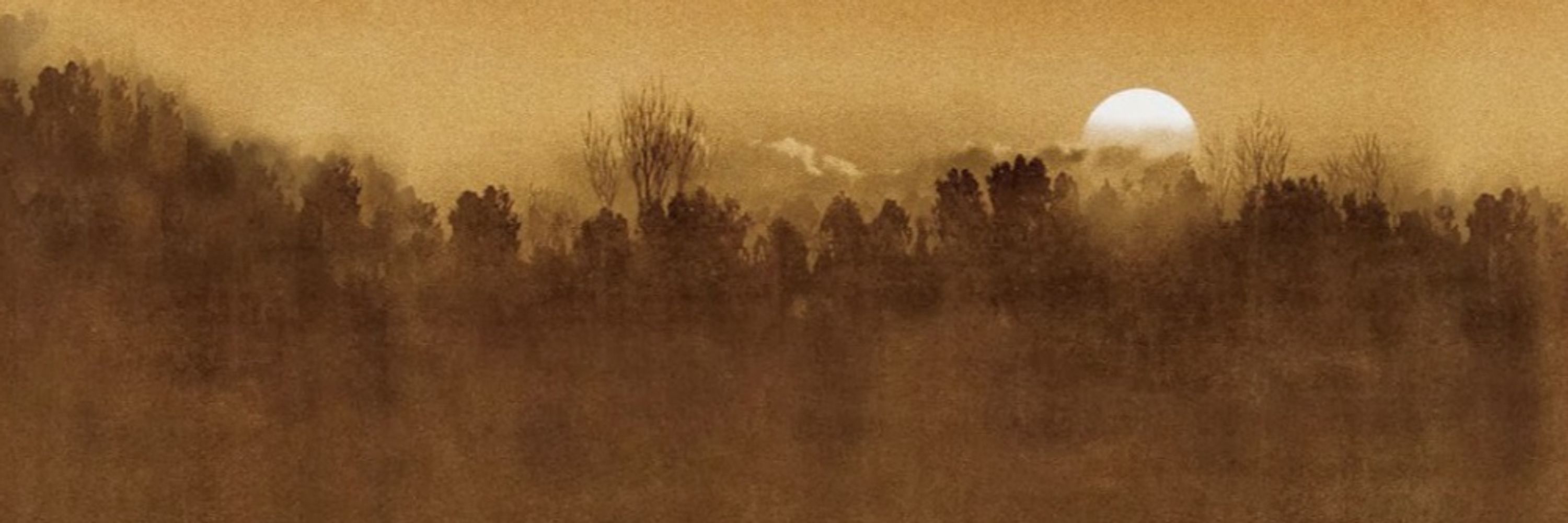 David Hollands