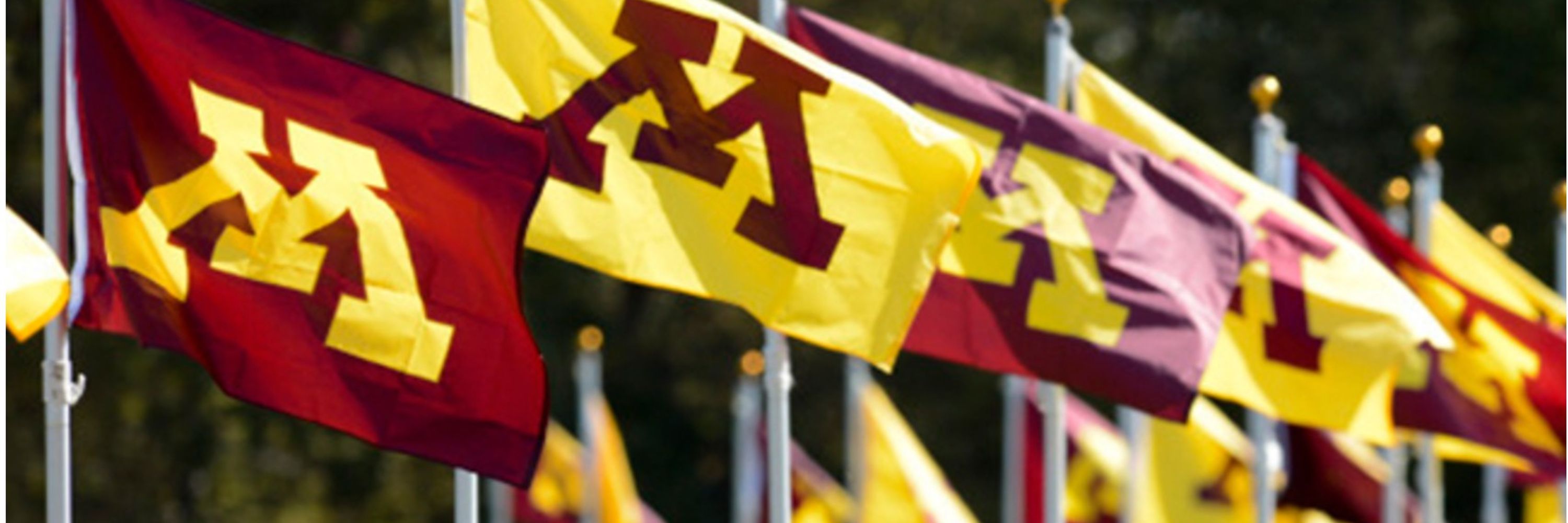Postdoctoral Association UMN 