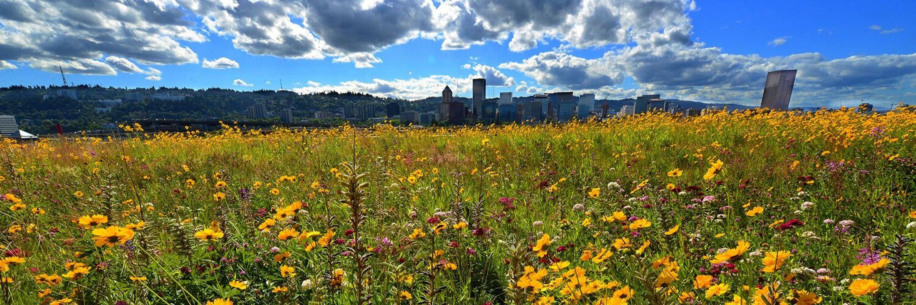 Multnomah County, OR