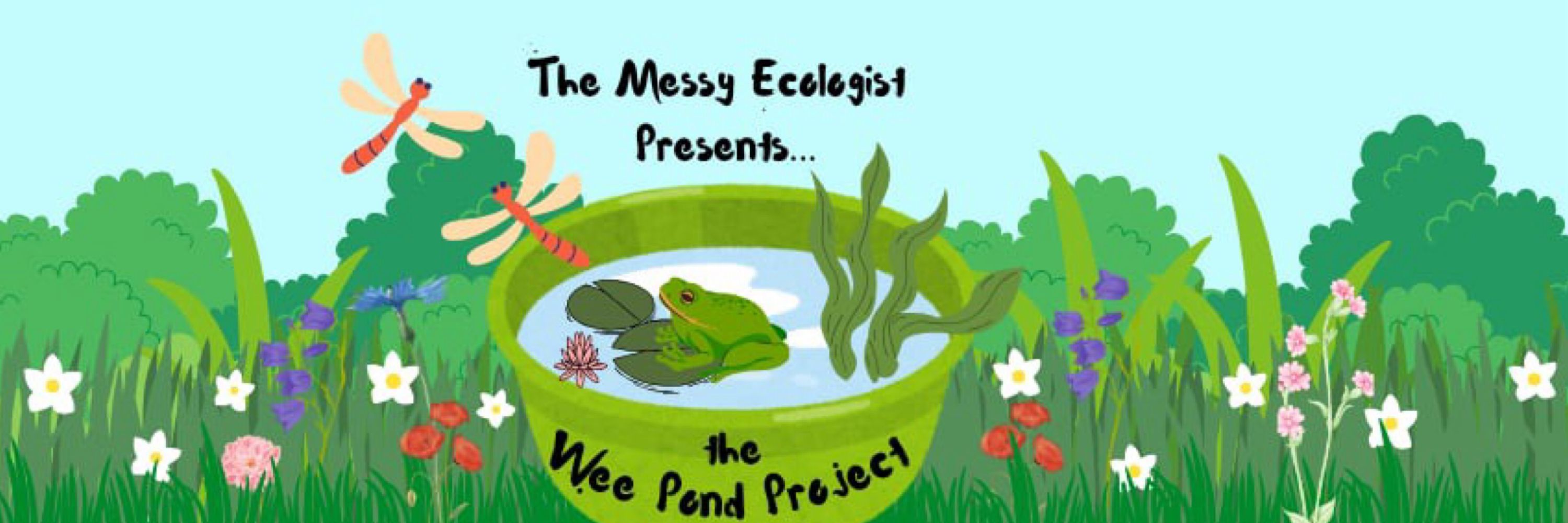 Wee Pond Project