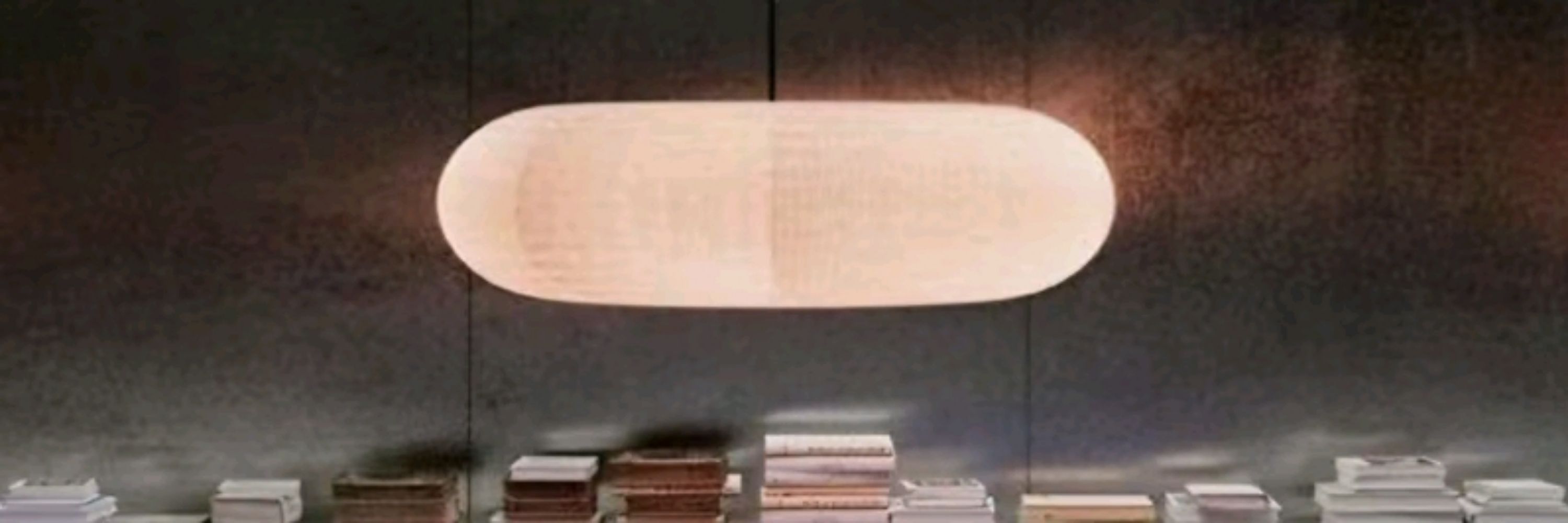 The Editor
