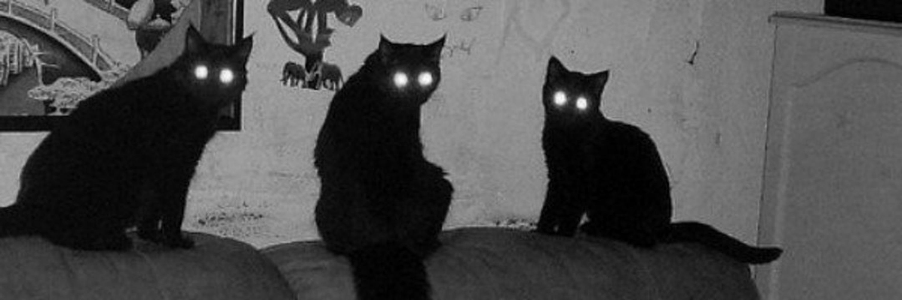 cyberdistortion