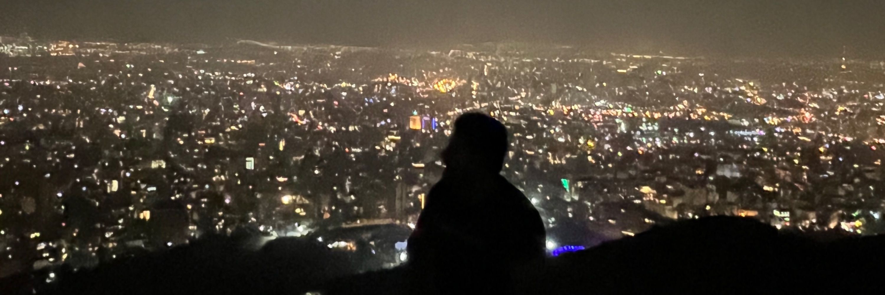 پوریا نفیسی