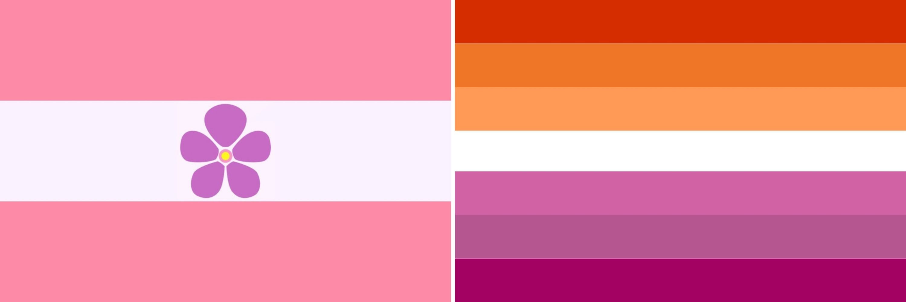 ❤🏳️‍🌈🤍 Miss Jennifer The Lesbian-Sappho 💖🏳️‍🌈❤ (She/Her/Hers)