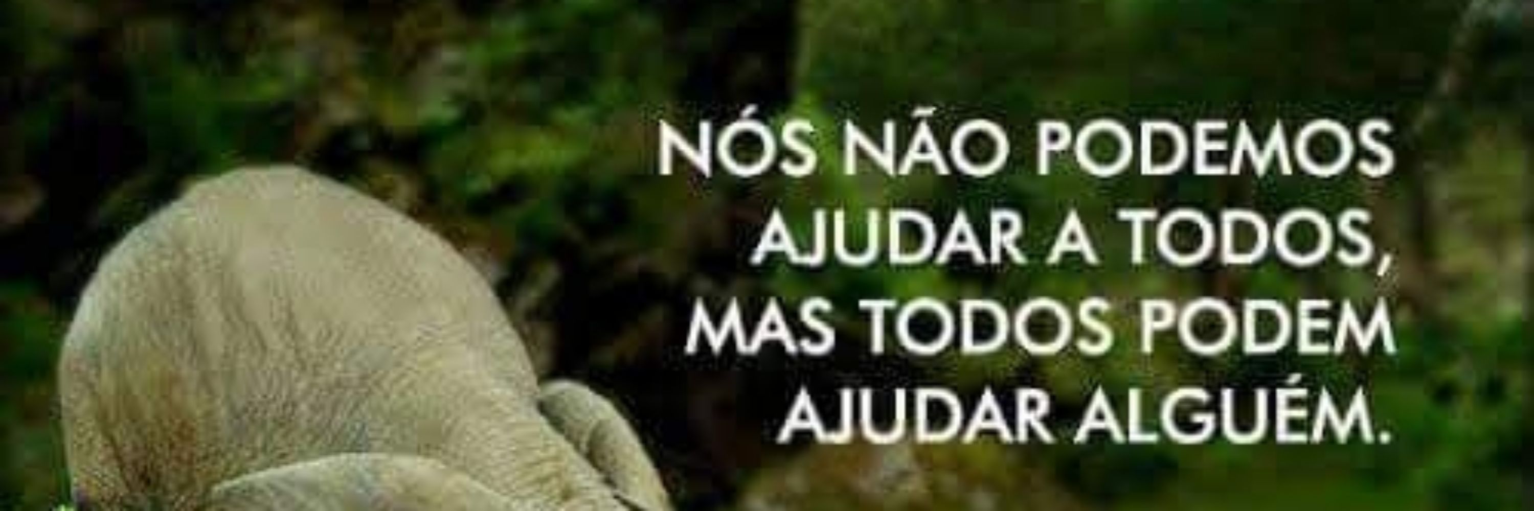 Silvia Cassa  🚩🇧🇷