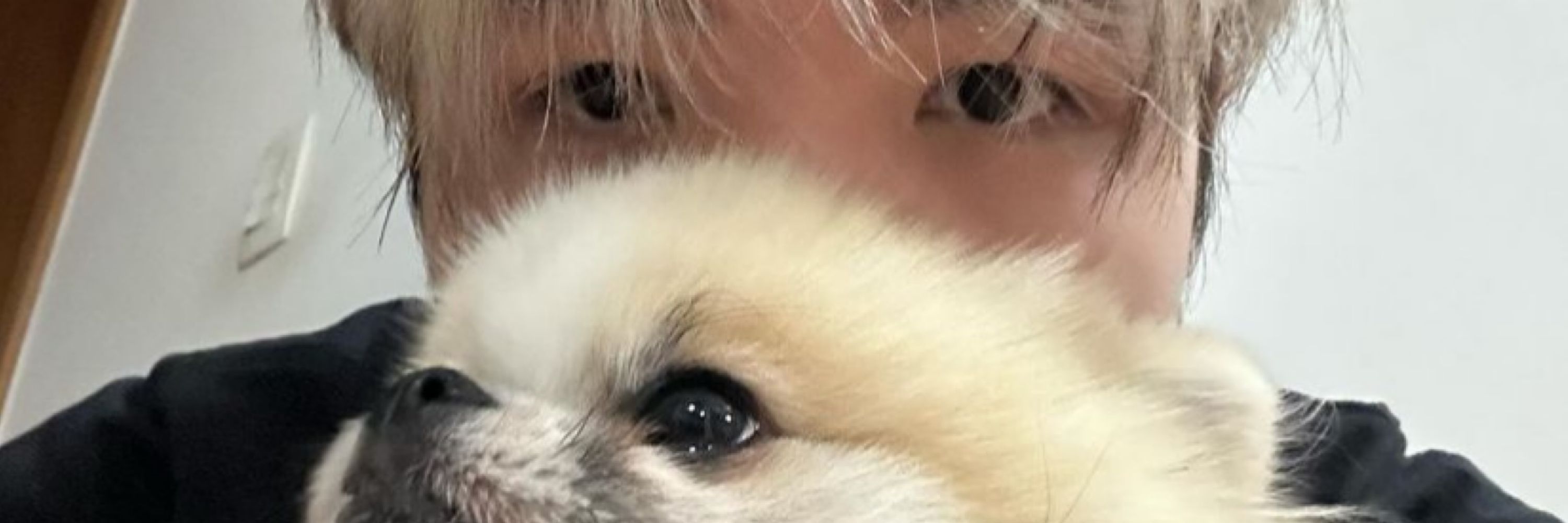 Mitsuhiro